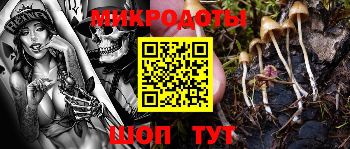 Галлюциногенные грибы прущие грибы Нижневартовск