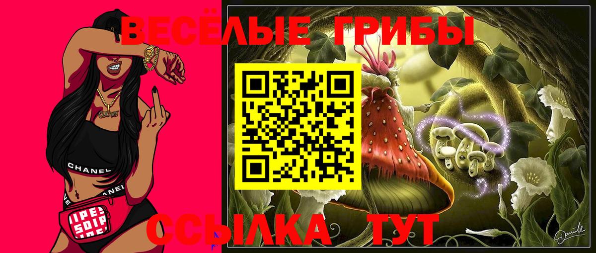 Нижневартовск  Псилоцибиновые грибы Cubensis  Вход с VPN 